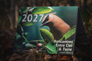 photo cover calendrier